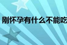 剛懷孕有什么不能吃的（剛懷孕有什么表現(xiàn)）