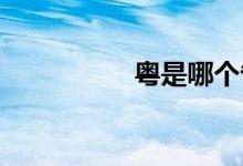 粵是哪個省的簡稱車牌