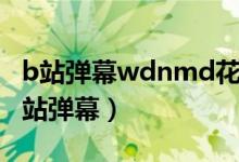 b站彈幕wdnmd花體英文（wdnmd啥意思B站彈幕）