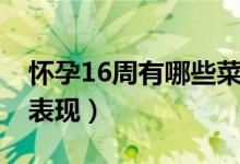 懷孕16周有哪些菜不能吃（懷孕16周有哪些表現(xiàn)）