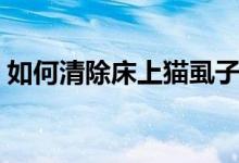 如何清除床上貓虱子（如何清除床上的螨蟲）
