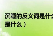 沉睡的反義詞是什么標準答案（沉睡的反義詞是什么）