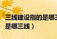三線建設(shè)指的是哪三線攀枝花（三線建設(shè)指的是哪三線）