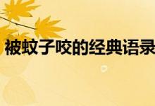 被蚊子咬的經(jīng)典語錄（被蚊子咬的經(jīng)典語錄）