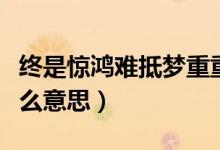 終是驚鴻難抵夢重重（終是驚鴻難抵夢重重什么意思）