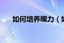 如何培養(yǎng)魄力（如何培養(yǎng)魄力和膽識(shí)）