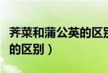 薺菜和蒲公英的區(qū)別圖片對比（薺菜和蒲公英的區(qū)別）