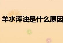 羊水渾濁是什么原因造成（羊水渾濁是什么）