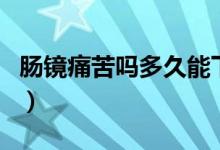 腸鏡痛苦嗎多久能下床（腸鏡痛苦嗎多長時間）