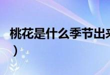 桃花是什么季節(jié)出來的（桃花是什么季節(jié)開的）