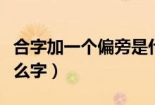 合字加一個(gè)偏旁是什么（合字加一個(gè)偏旁是什么字）