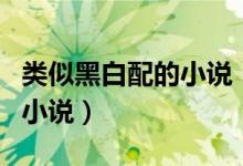 類似黑白配的小說(shuō)（有沒(méi)有和黑白配差不多的小說(shuō)）