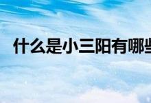 什么是小三陽有哪些癥狀（什么是小三陽）