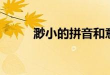 渺小的拼音和意思（渺小的意思）