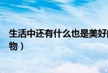 生活中還有什么也是美好的（生活中還有什么也是美好的禮物）