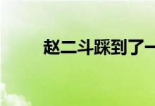 趙二斗踩到了一些法國制造的地雷