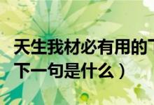 天生我材必有用的下一句（天生我材必有用的下一句是什么）