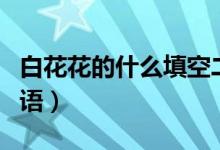 白花花的什么填空二年級（白花花的什么填詞語）