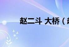 趙二斗 大橋（趙二斗炸了什么橋）