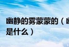 幽靜的霧蒙蒙的（幽深的霧蒙蒙的給你的感受是什么）