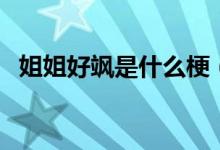 姐姐好颯是什么梗（姐姐好颯是什么意思）