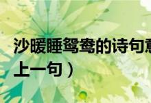 沙暖睡鴛鴦的詩(shī)句意思是什么（沙暖睡鴛鴦的上一句）