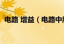 電路 增益（電路中所說的增益是什么意思）