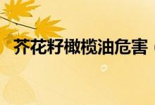 芥花籽橄欖油危害（芥花籽橄欖油的作用）