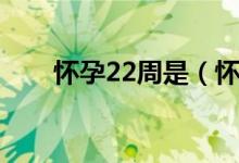 懷孕22周是（懷孕22周有哪些表現(xiàn)）
