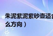 朱泥紫泥紫砂壺適合泡什么茶（指南針N指什么方向）