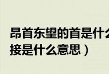 昂首東望的首是什么意思（昂首東望和水天相接是什么意思）