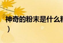 神奇的粉末是什么粉（神奇的粉末是什么東西）