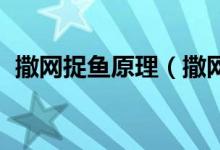 撒網(wǎng)捉魚原理（撒網(wǎng)捕魚原理 原來是這樣）