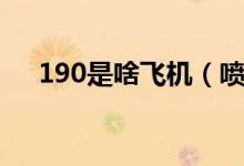 190是啥飛機(jī)（噴氣機(jī)190是什么飛機(jī)）