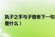 執(zhí)子之手與子偕老下一句怎么對(duì)（執(zhí)子之手與子偕老下一句是什么）