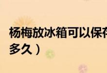 楊梅放冰箱可以保存多久（楊梅放冰箱可以放多久）