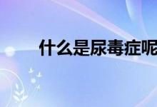 什么是尿毒癥呢（什么是尿道損傷）