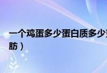一個(gè)雞蛋多少蛋白質(zhì)多少克脂肪（一個(gè)雞蛋多少蛋白質(zhì)和脂肪）