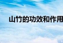 山竹的功效和作用（山竹的功效和作用）