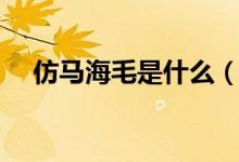 仿馬海毛是什么（仿馬海毛是什么成分）