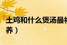 土雞和什么煲湯最補（土雞和什么煲湯最有營養(yǎng)）