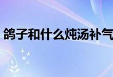 鴿子和什么燉湯補(bǔ)氣血（鴿子和什么燉湯好）