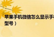 蘋果手機微信怎么顯示手機號（蘋果手機微信怎么顯示手機型號）