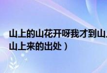 山上的山花開呀我才到山上來歌詞（山上的山花開呀我才到山上來的出處）