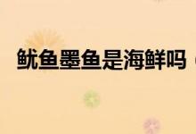 魷魚墨魚是海鮮嗎（魷魚墨魚屬于海鮮嗎）