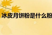 冰皮月餅粉是什么粉（冰皮月餅粉是什么粉）