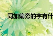 同加偏旁的字有什么（同加偏旁是什么）