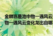 金麟豈是池中物一遇風(fēng)云變化龍的意思是啥（金麟豈是池中物一遇風(fēng)云變化龍出自哪）