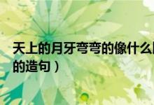 天上的月牙彎彎的像什么比喻句（天上彎彎的月兒就像什么的造句）