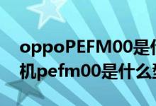 oppoPEFM00是什么型號(hào)的手機(jī)（oppo手機(jī)pefm00是什么型號(hào)）